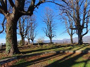 32 San Vigilio- Parco del Castello